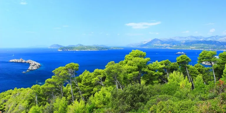 Dennenbos en Adriatische zee met Elafiti eilanden, Uitzicht vanaf Petka heuvel in Dubrovnik, beroemde reisbestemming, Kroatië