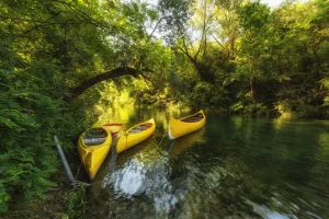 After a hearty breakfast, embark on a half-day rafting expedition on the Cetina River. Post-lunch, a private transfer will take you to Dubrovnik, the Pearl of the Adriatic. Check into your luxury resort and spend the evening at leisure
